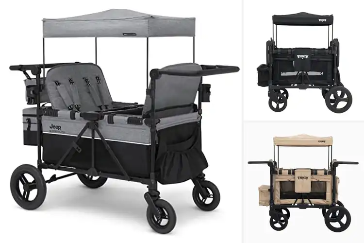 Detailed view of Best 4-Passenger Stroller Wagons