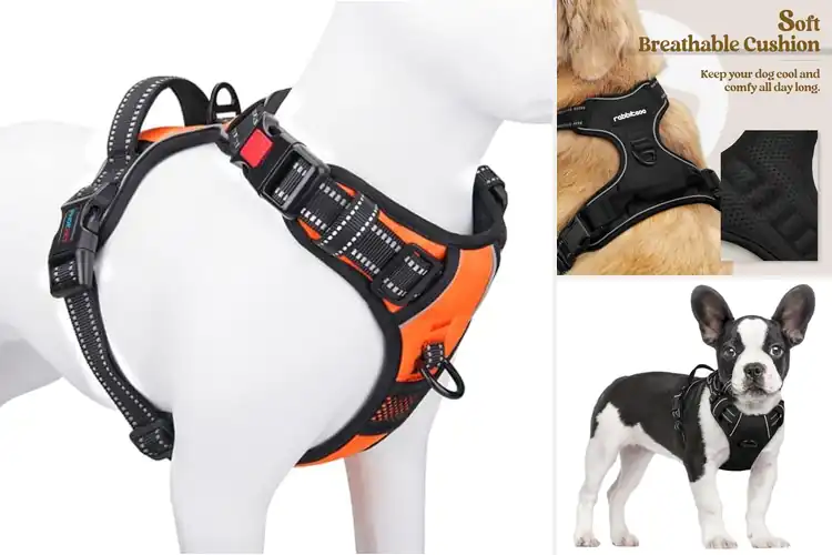 Detailed view of Best Adjustable Dog Harnesses
