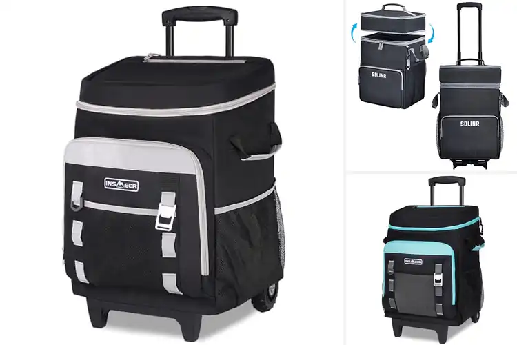 Detailed view of Best Collapsible Handle Portable Cooler