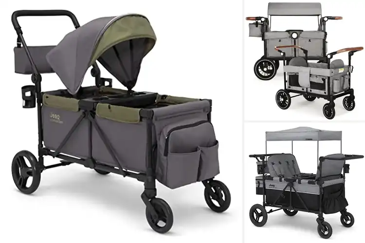 Detailed view of Best Comfortable Stroller Wagons