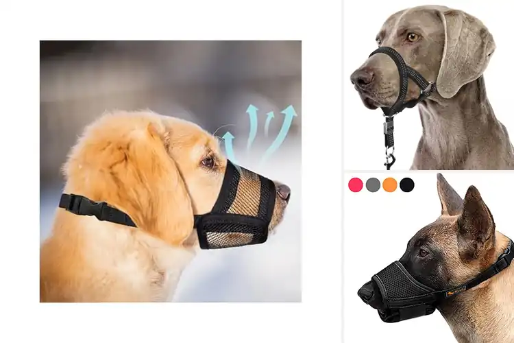 Detailed view of Best Dog Muzzles With Straps