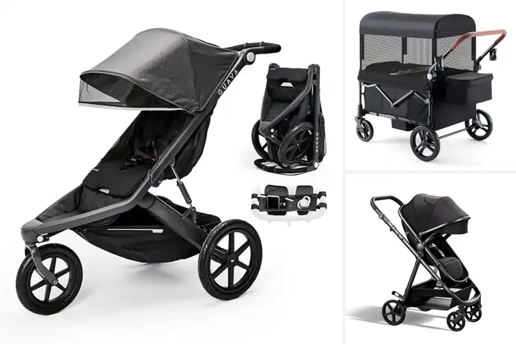 Detailed view of Best Family Adventure Strollers
