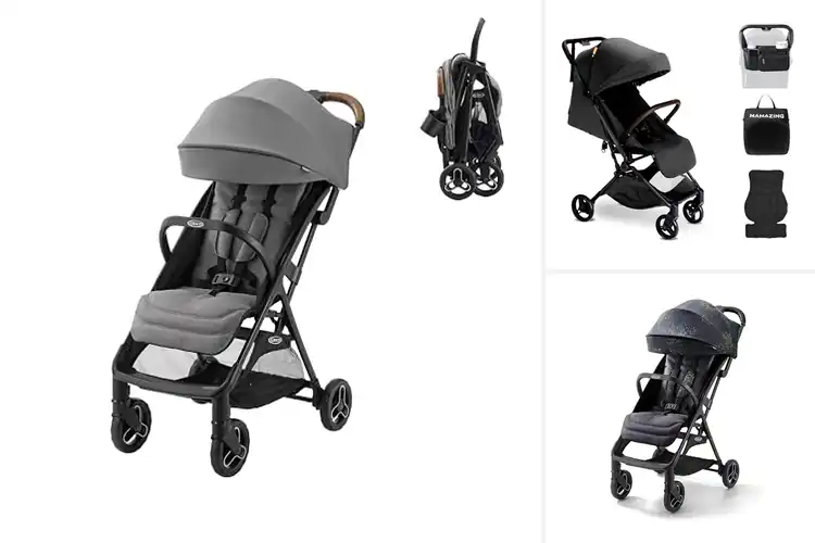 Detailed view of Best Family-Friendly Strollers