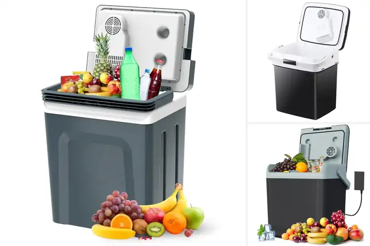 Detailed view of Best Family Picnic Refrigerator