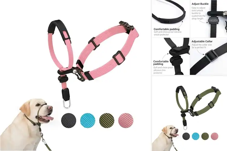 Detailed view of Best Pet Headcollars: Gentle Control for Stress-Free Walks