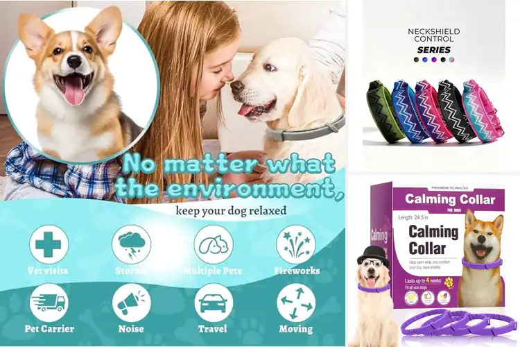 Detailed view of Best Pressure Relief Dog Collars