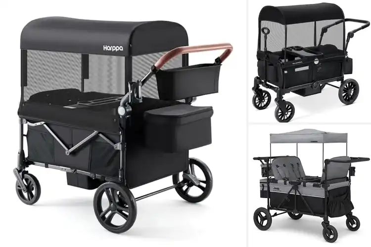 Detailed view of Best Stroller Wagons For Family Bonding
