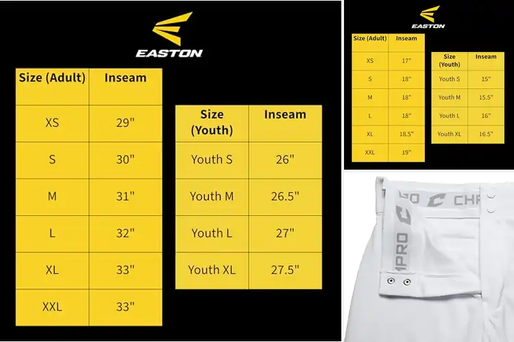 Detailed view of Best Trim Fitted Baseball Pants