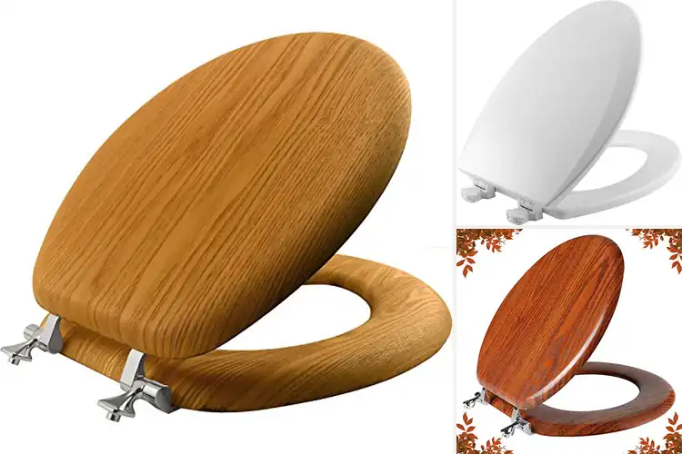 Detailed view of Best Wooden Toilet Seats: Top Picks for Style & Strength